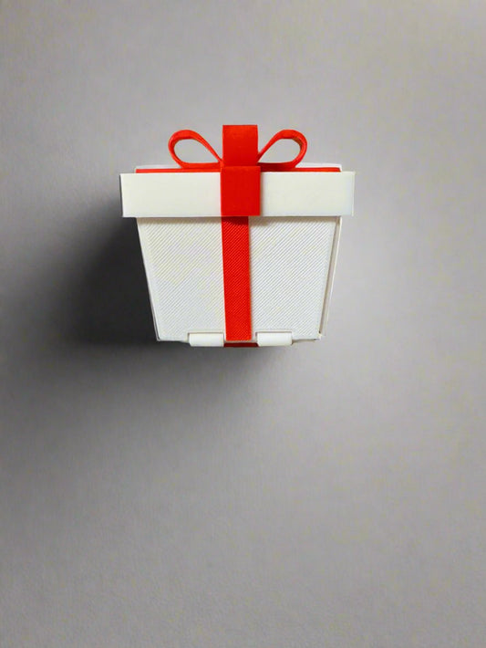 Surpise Gift Box (Middle Finger)